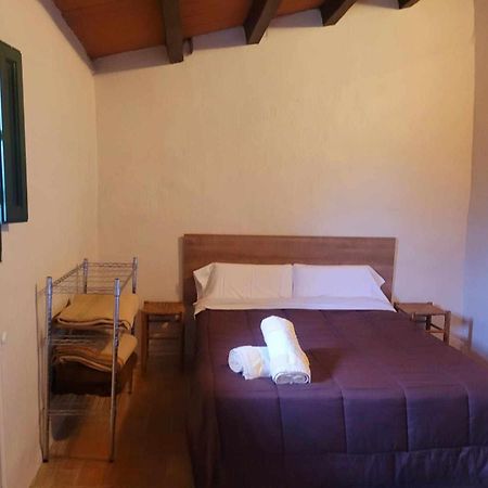 Masia Para Grupos Con Piscina Privada28 Pax Cabanelles المظهر الخارجي الصورة